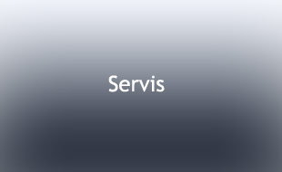 Servis